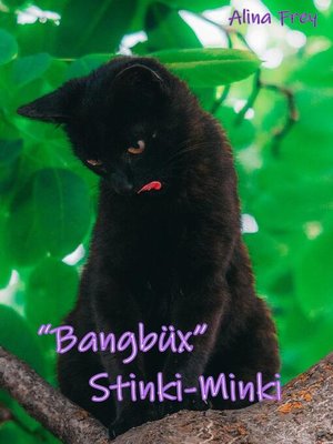 cover image of Bangbüx "Stinki-Minki"